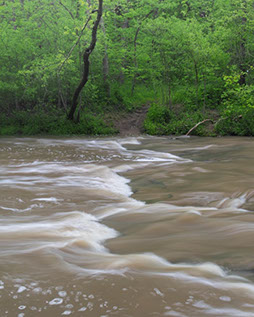 High flowing stream image by Garrett Frandson