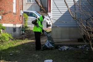 North County Cleanup